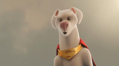 DC LIGA DOS SUPERPETS -    .Mr.ClowN