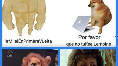 otro compilado de papelones de la libertad avanza