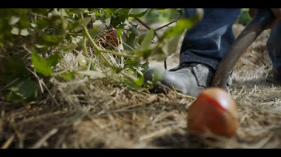 The.Walking.Dead T8 E07