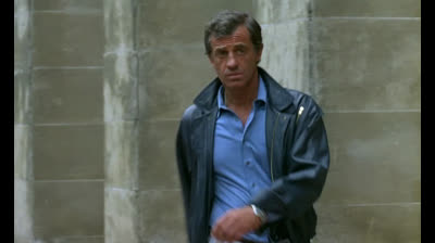 Le Professionnel. vf