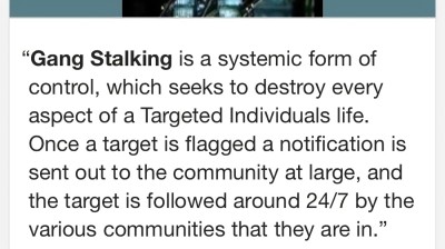 DID YOU KNOW THAT THIS TRUMAN STALKING IS MIND GAMES, HUNTING OF A PERSON, & SMEAR COMPAIN.