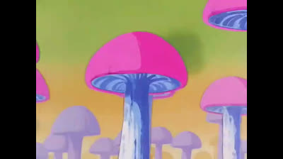 09 - El truco especial del jefe conejo